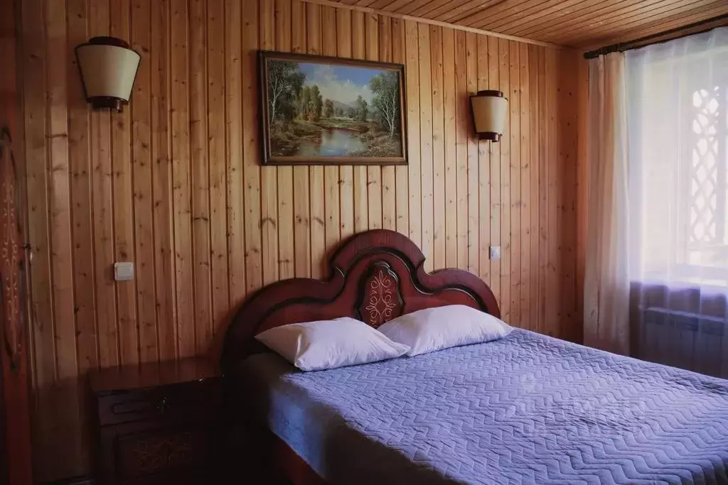 Дом в Воронежская область, с. Новая Усмань  (46 м) - Фото 2