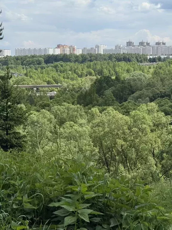Участок в Московская область, Подольск городской округ, д. Кутьино  ... - Фото 1