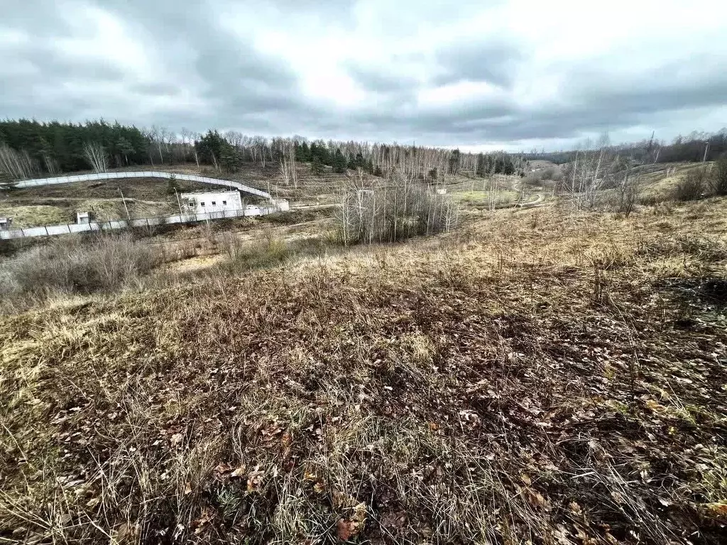 Участок в Белгородская область, Белгородский район, пос. Майский ... - Фото 2