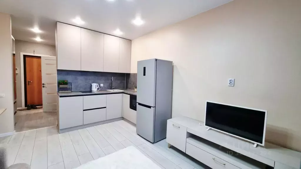 Студия Пензенская область, Пензенский район, Засечный сельсовет, с. ... - Фото 2