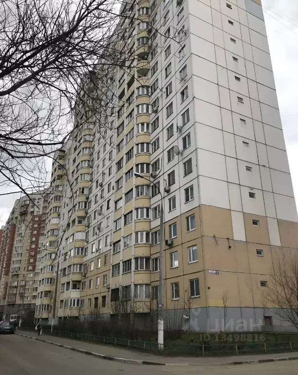 Вик южный бул 9 фото