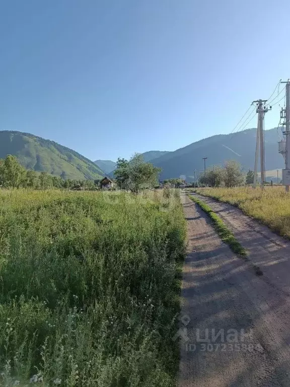 Участок в Алтай, Усть-Коксинский район, с. Чендек Центральная ул. ... - Фото 1