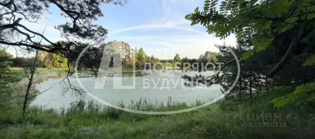 Участок в Удмуртия, Завьяловский район, д. Каменное ул. Малахитовая, 8 ... - Фото 0