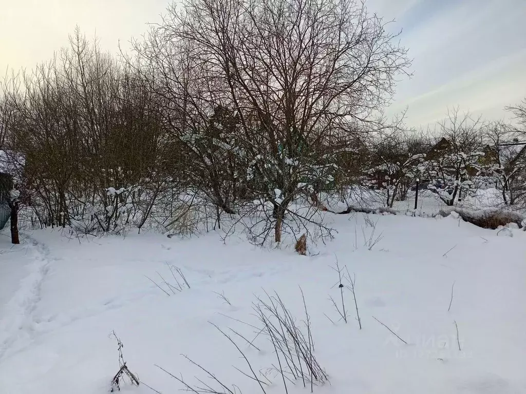 Участок в Ленинградская область, Гатчина Большая Загвоздка ... - Фото 2