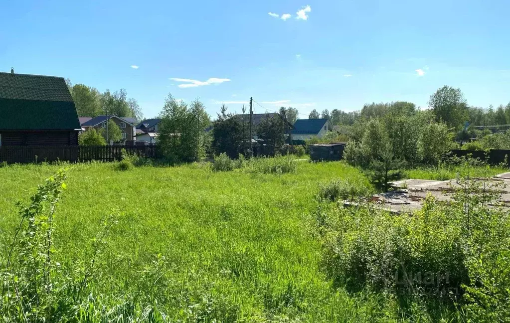 Участок в Ленинградская область, Приозерский район, Ромашкинское ... - Фото 0