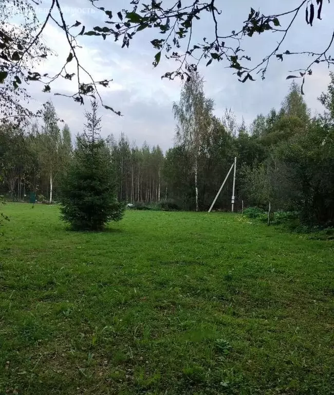 Участок в Заклинское сельское поселение, деревня Слапи (10 м) - Фото 1