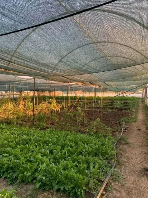 Дом в Крым, Сакский район, Крайненское с/пос, с. Трудовое ул. ... - Фото 1