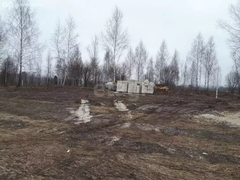 Дом в село Толмачево, Партизанская улица (115 м) - Фото 0