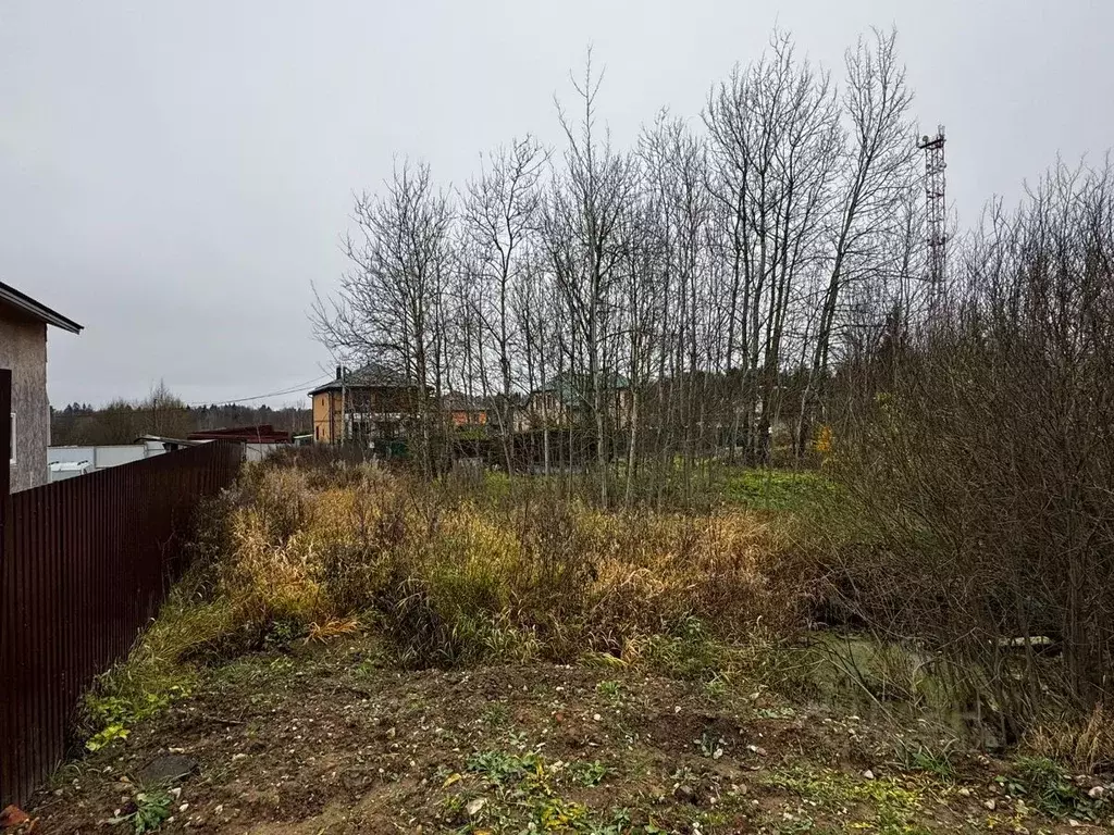 Участок в Московская область, Солнечногорск городской округ, д. ... - Фото 2
