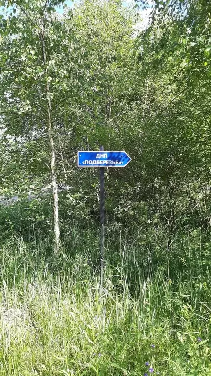 Участок в Ярославская область, Переславль-Залесский муниципальный ... - Фото 2