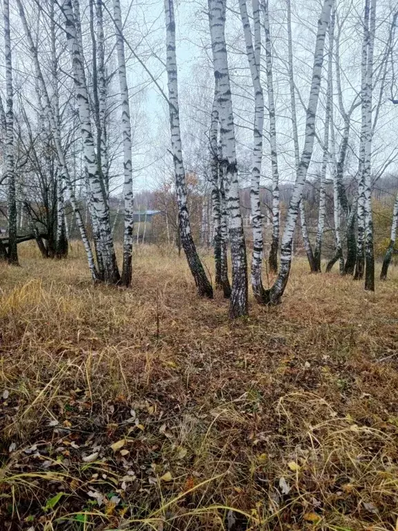 Участок в Тульская область, Киреевский район, Красноярское с/пос, пос. ... - Фото 2