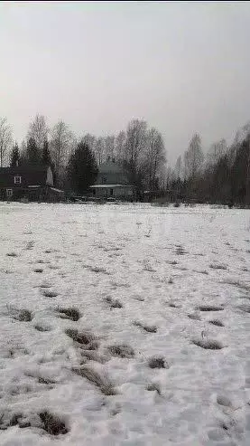 Участок в Вологодская область, д. Старое (Старосельский сельсовет)  ... - Фото 0