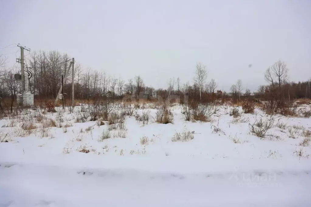 Участок в Еврейская автономная область, Смидовичский район, пос. ... - Фото 1