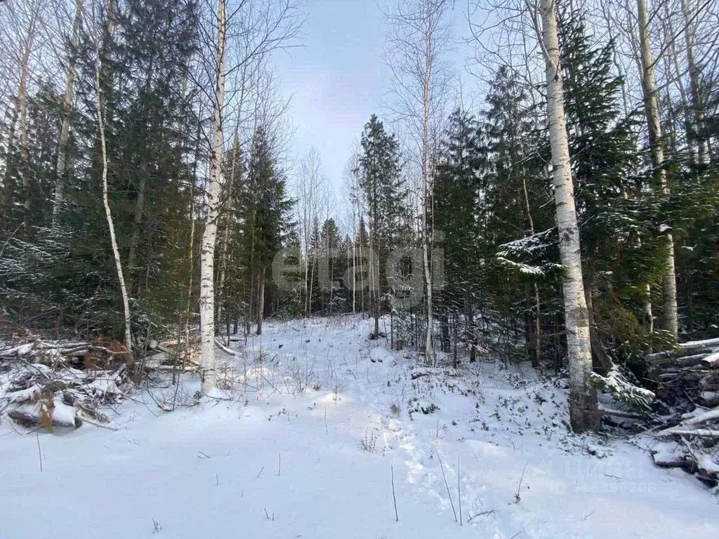 Участок в Ханты-Мансийский АО, Ханты-Мансийск Мир СОНТ,  (8.4 сот.) - Фото 1