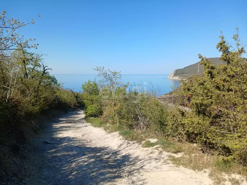 Участок в Краснодарский край, Новороссийск городской округ, с. Южная ... - Фото 2