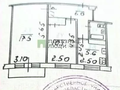 2-к кв. Орловская область, Орел Комсомольская ул., 204 (42.8 м) - Фото 2