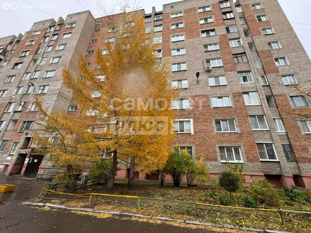 1-комнатная квартира: Омск, улица 12 Декабря, 108 (27.6 м) - Фото 0