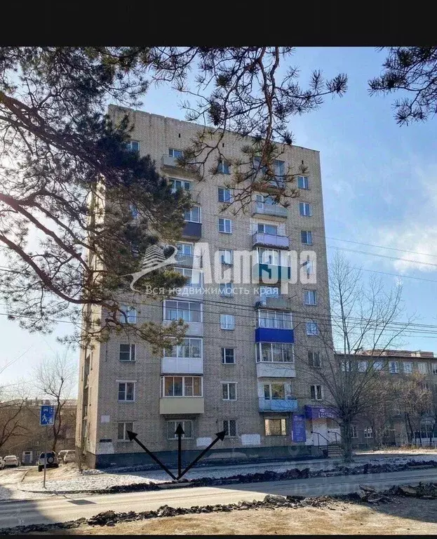 3-к кв. Забайкальский край, Чита Смоленская ул., 37 (54.5 м) - Фото 1
