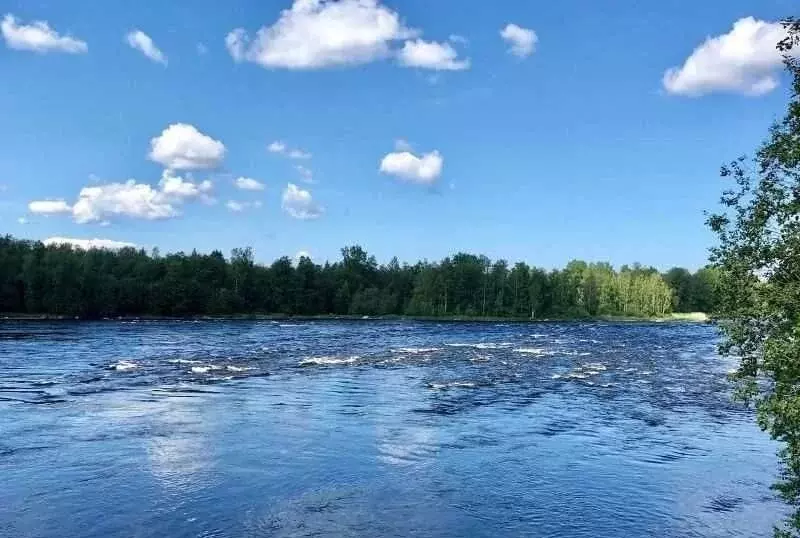 Участок в Ленинградская область, Приозерский район, Запорожское с/пос, ... - Фото 2