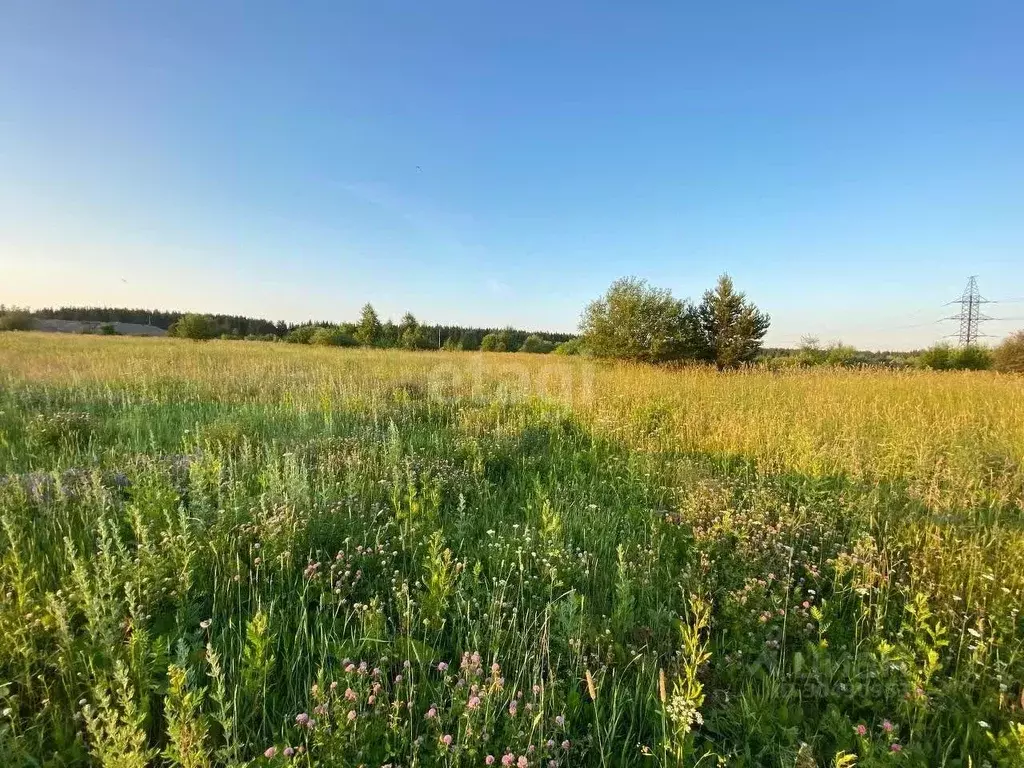 Участок в Свердловская область, Горноуральский городской округ, с. ... - Фото 1