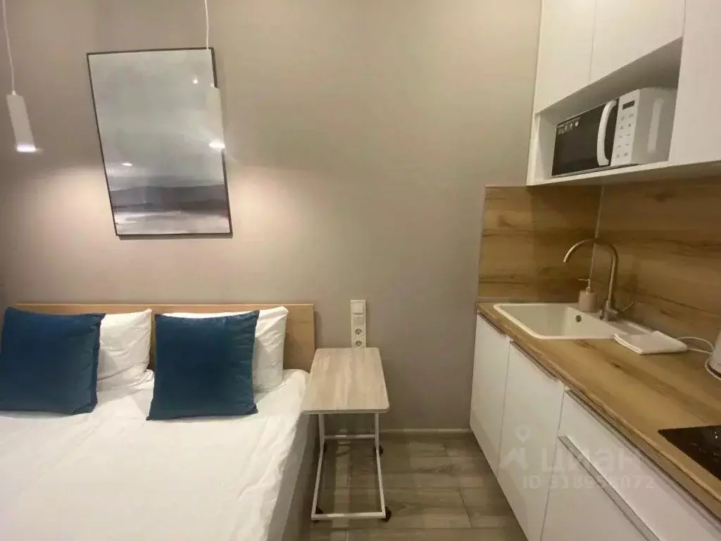 1-к кв. Санкт-Петербург Английский просп., 30Б (12.0 м) - Фото 1