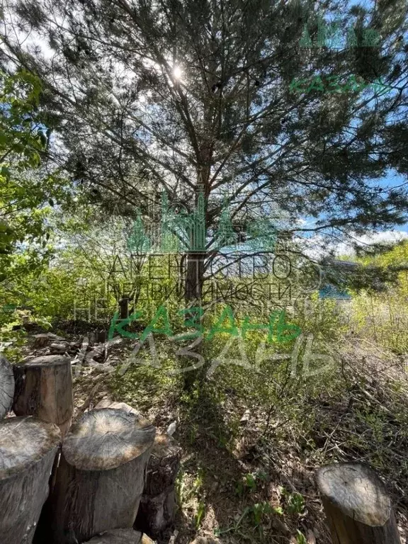 Участок в Татарстан, Казань Овощник СНТ, аллея 29-я (4.5 сот.) - Фото 1