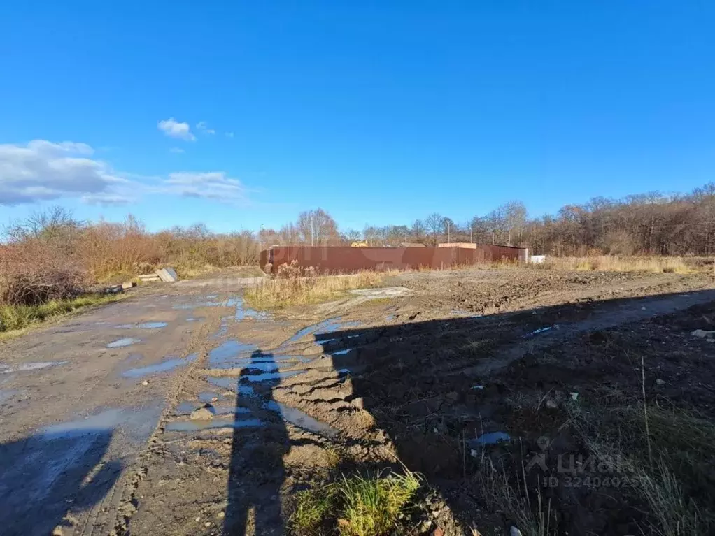 Участок в Калининградская область, Калининград пос. Лермонтовский, ул. ... - Фото 2
