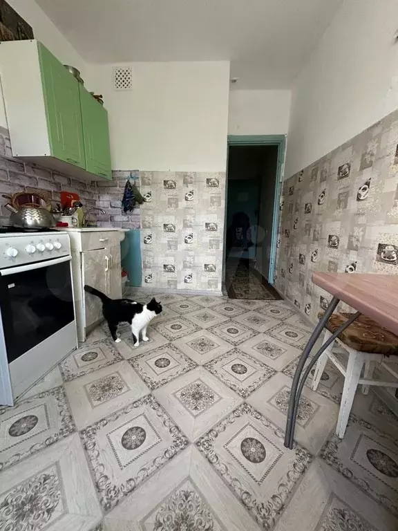 2-к. квартира, 50,7 м, 4/5 эт. - Фото 1