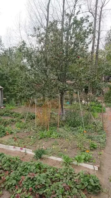 Дом в Свердловская область, Нижний Тагил Лесной СПК, 127 (36 м) - Фото 2