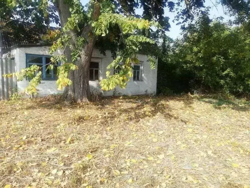 Дом в Белгородская область, Шебекинский городской округ, с. Белянка ... - Фото 0