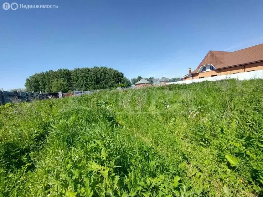 Участок в Тюменский муниципальный округ, деревня Патрушева (15 м) - Фото 1