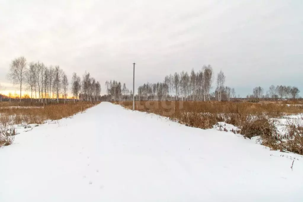 Участок в Тюменская область, Нижнетавдинский район, Тюневское с/пос, 7 ... - Фото 0