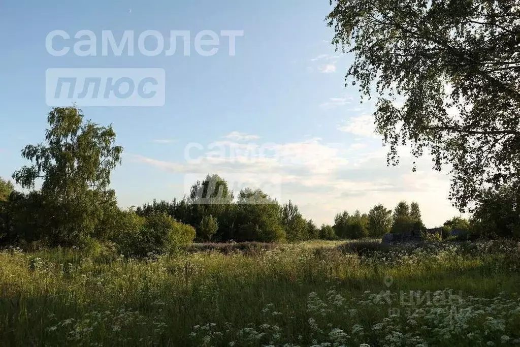 Участок в Вологодская область, д. Филютино  (20.0 сот.) - Фото 1