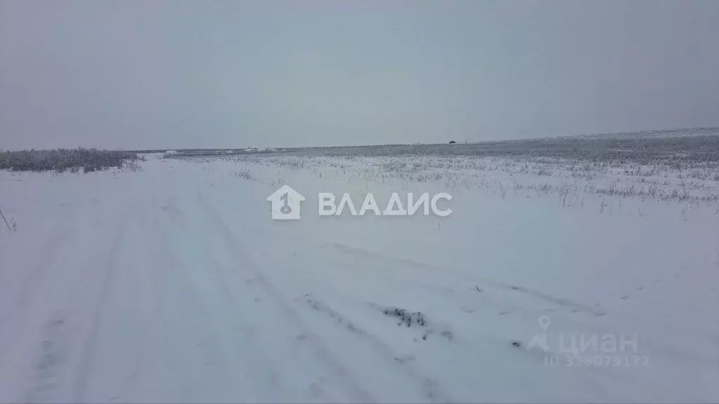 Участок в Белгородская область, Белгородский район, с. Стрелецкое ул. ... - Фото 1