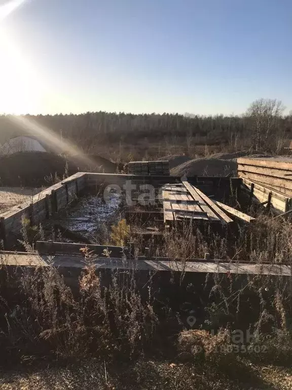 Участок в Амурская область, Благовещенск городской округ, пос. ... - Фото 1