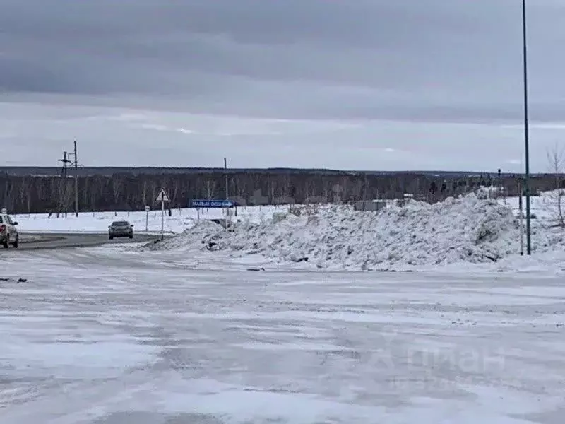 Участок в Новосибирская область, Колыванский район, д. Малый Оеш  (8.0 ... - Фото 2