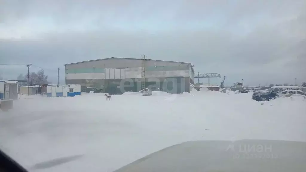 Склад в Ямало-Ненецкий АО, Ноябрьск Промузел Пелей кв-л, 11-я панель, ... - Фото 1