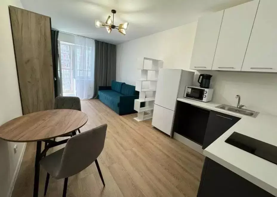 Продаётся квартира-студия, 27.08 м - Фото 0
