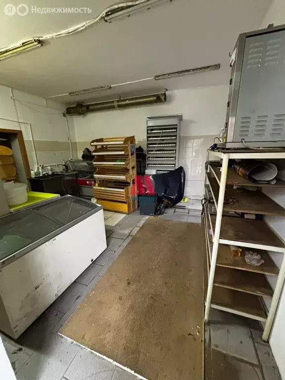 Помещение свободного назначения (54.8 м) - Фото 2