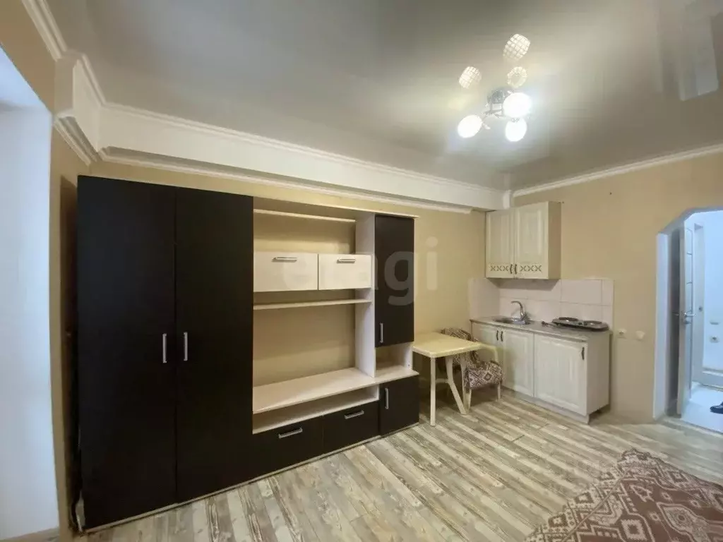 Студия Ставропольский край, Пятигорск ул. Орджоникидзе (18.6 м) - Фото 1