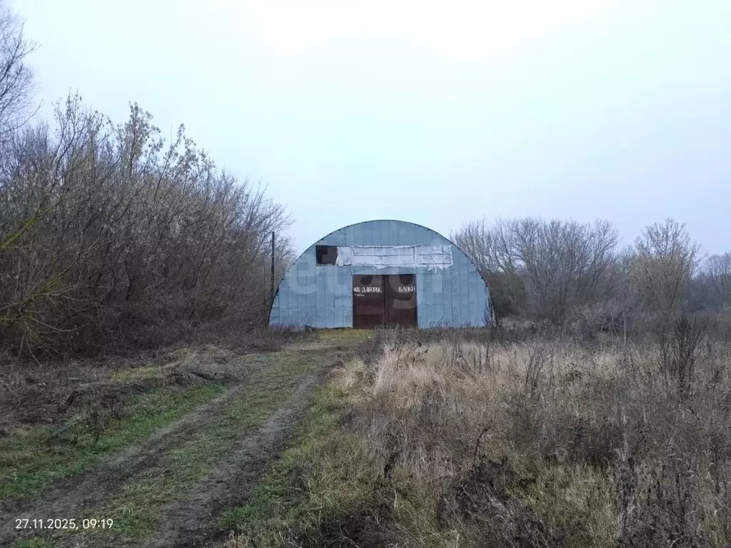 Склад в Воронежская область, Грибановский район, с. Верхний Карачан ... - Фото 1