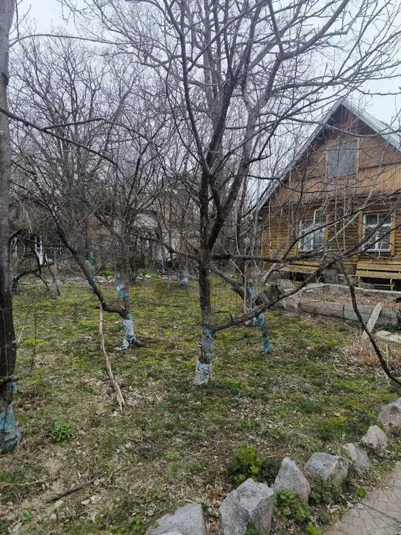 Дача 60 м на участке 10 сот. - Фото 0