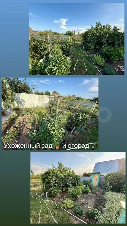 Дом 53,4 м на участке 11,7 сот. - Фото 1