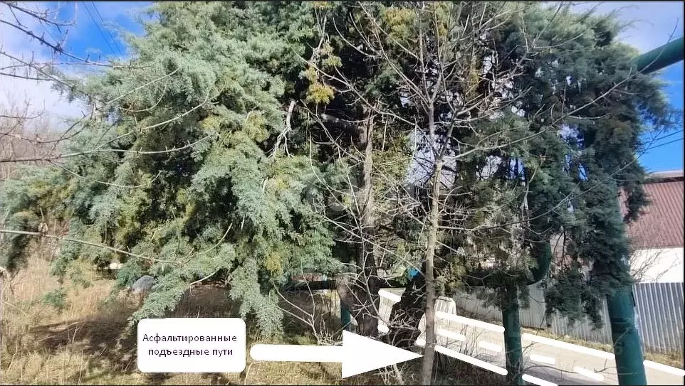 Участок в Крым, Ялта муниципальный округ, Краснокаменка пгт  (12.1 ... - Фото 1