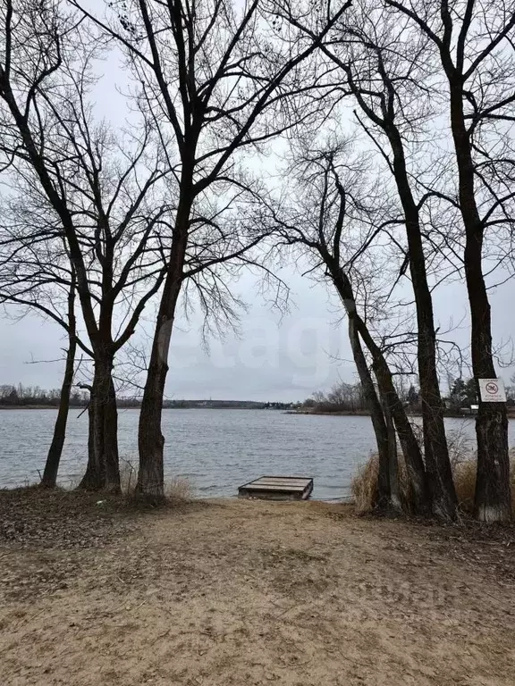 Участок в Саратовская область, Энгельсский район, Красноярское ... - Фото 1