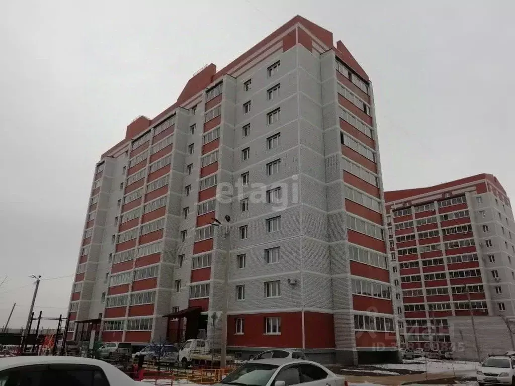 Студия Амурская область, Благовещенский район, с. Чигири ул. ... - Фото 1