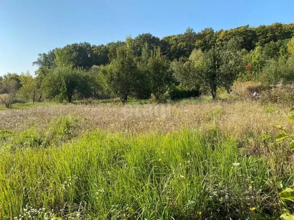Дом в Белгородская область, Белгородский район, Краснооктябрьское ... - Фото 1