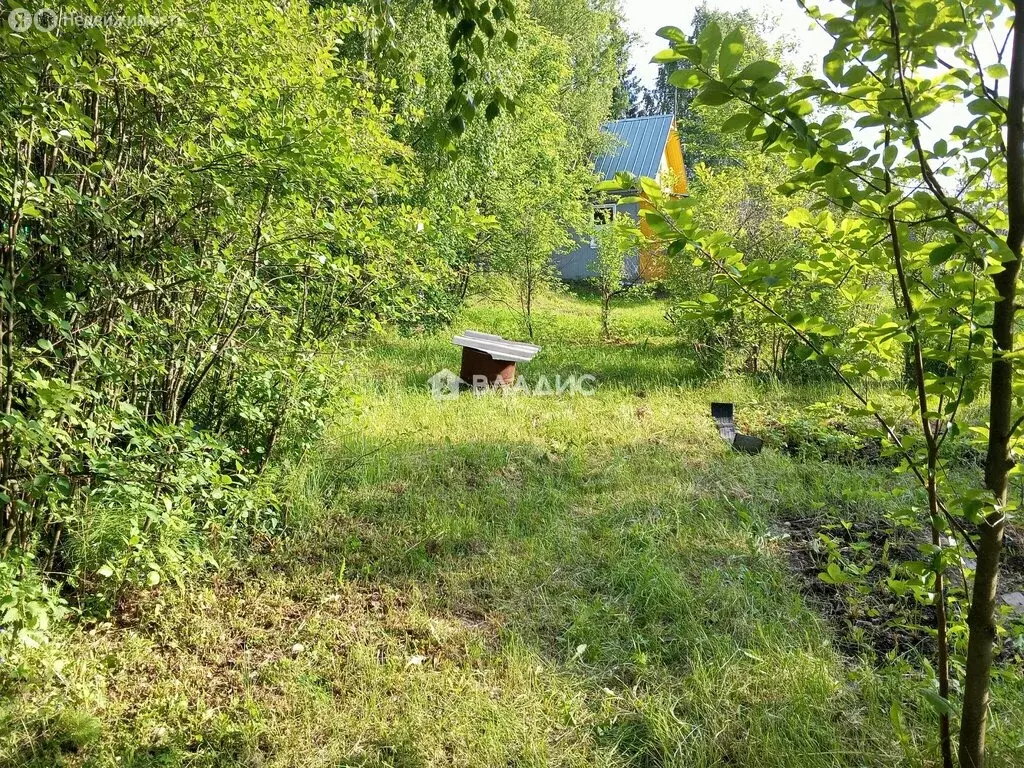 Участок в деревня Морово, СДТ Радуга, 30 (5 м) - Фото 2