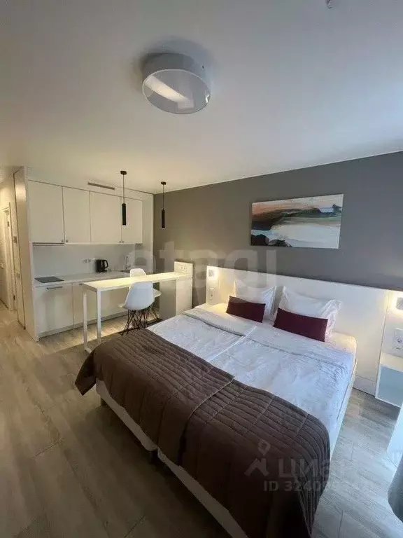 Студия Санкт-Петербург ул. Салова, 61 (27.3 м) - Фото 1