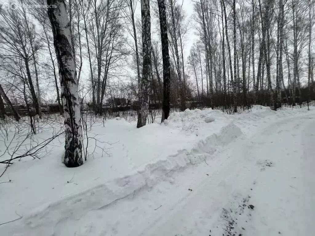 Участок в Новосибирск, СНТ Черёмушки (4 м) - Фото 2